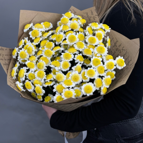 Букет "Моё солнышко" из 11 хризантем сантини  в Орехово-Зуево