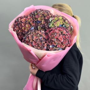 Букет из 5 космических Голландских гортензий в Орехово-Зуево