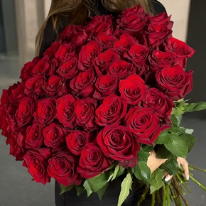 Букет 51 роза Эквадор Эксплорер (60 см) в Орехово-Зуево