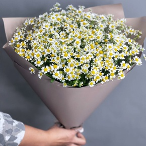 Букет из 17 ромашек танацетум в Орехово-Зуево