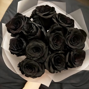 Букет "Черная королева" из 11 черных роз Эквадор (60 см) в Орехово-Зуево