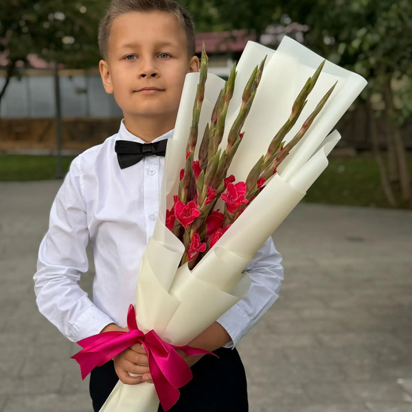 Букет на 1 сентября из 7 малиновых гладиолусов в Орехово-Зуево