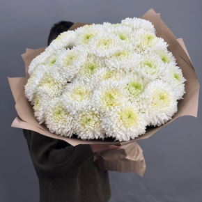 Букет из 27 хризантем Магнум в Орехово-Зуево