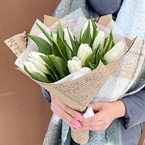 Букет 11 белых тюльпанов в Орехово-Зуево