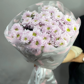 Букет "Нежный комплимент" из 9 кустовых хризантем в Орехово-Зуево