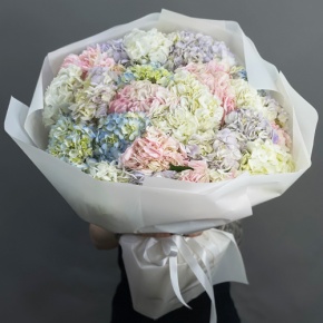 Букет из 23 гортензий микс в Орехово-Зуево