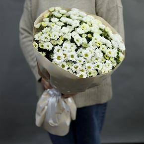 Букет "Милая моя" из 17 хризантем сантини в Орехово-Зуево