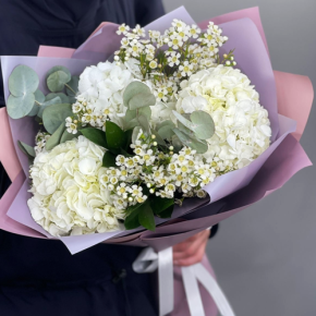 Букет "Суприм" из гортензий и хамелациума в Орехово-Зуево