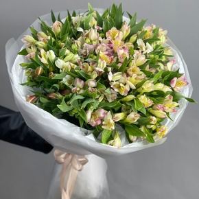 Букет "Зарина" из 37 альстромерий микс в Орехово-Зуево