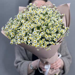 Букет из 17 полевых ромашек в Орехово-Зуево