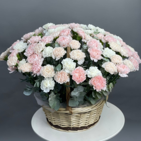 Композиция в корзине из 101 диантуса микс в Орехово-Зуево