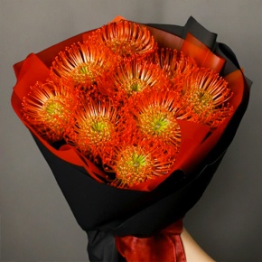 Букет из 9 лейко в Орехово-Зуево