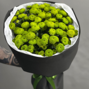 Стильный букет "Лайм" из 15 хризантем сантини в Орехово-Зуево