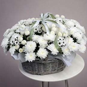 Композиция в корзине "Снежная лавина" из хризантем в Орехово-Зуево