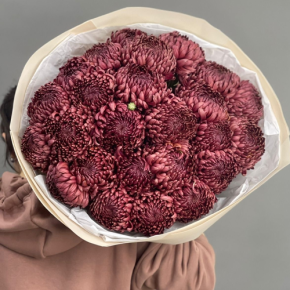 Букет 21 шоколадной хризантемы Бигоуди в Орехово-Зуево