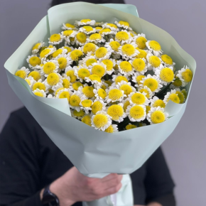 Букет "Моё солнышко" из 17 хризантем сантини  в Орехово-Зуево