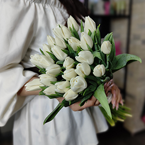 Букет белоснежных тюльпанов (25 шт) в Орехово-Зуево