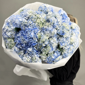 Букет из 23 синих гортензий в Орехово-Зуево