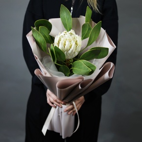 Букет "Великолепная" из экзотичной протеи в Орехово-Зуево