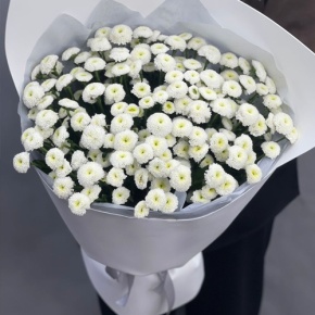 Букет "Белая дымка" из 25 хризантем сантини в Орехово-Зуево