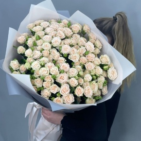Букет из 25 кремовых кустовых роз (70 см) в Орехово-Зуево