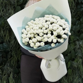 Букет из 25 хризантем Ньютон в Орехово-Зуево