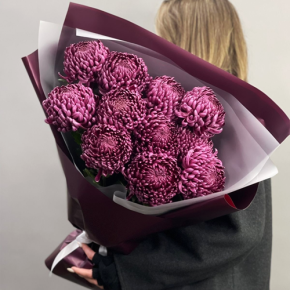 Букет "Изобилие" из 11 винных хризантем Бигоуди в Орехово-Зуево