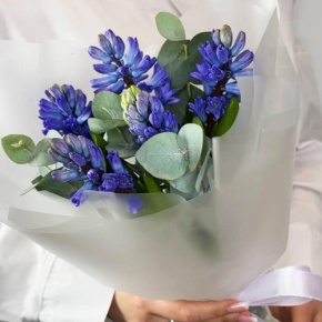 Букет "Мини" из 5 ароматных гиацинтов и эвкалипта в Орехово-Зуево