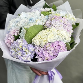 Букет из 9 Голландских гортензий микс в Орехово-Зуево