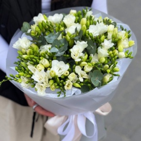 Букет из 51 белой фрезии в Орехово-Зуево