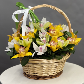 Композиция в корзине из 25 орхидей микс в Орехово-Зуево