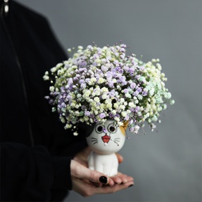 Композиция из гипсофил в керамическом кашпо в Орехово-Зуево