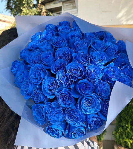 Букет из 51 синей розы Эквадор (60 см) в Орехово-Зуево