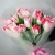 Букет "Фламинго" из 11 пионовидных тюльпанов в Орехово-Зуево Букет "Фламинго" из 11 пионовидных тюльпанов в Орехово-Зуево