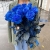 15 синих LUX роз Эквадор (70 см) в Орехово-Зуево