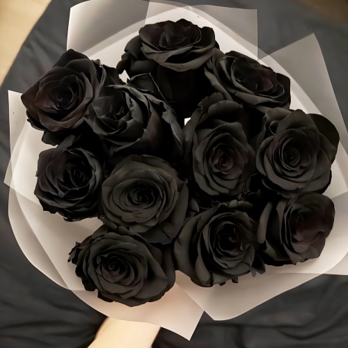 Букет "Черная королева" из 11 черных роз Эквадор (60 см) в Орехово-Зуево