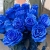 15 синих LUX роз Эквадор (70 см) в Орехово-Зуево