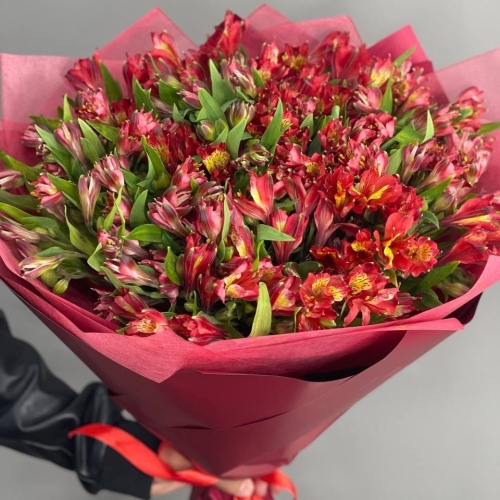 Монобукет из 25 красных альстромерий в Орехово-Зуево
