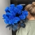 15 синих LUX роз Эквадор (70 см) в Орехово-Зуево