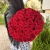 Букет 51 красной розы 50 см в Орехово-Зуево