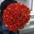 Букет 101 коралловая роза (60 см) в Орехово-Зуево