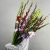 Букет из 25 гладиолусов микс в Орехово-Зуево