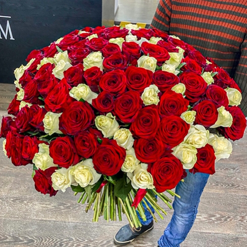 Букет 151 роза красный и белый микс (60 см) в Орехово-Зуево