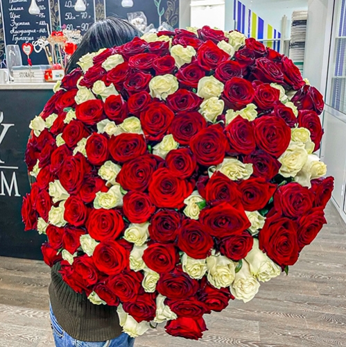 Букет 151 роза красный и белый микс (60 см) в Орехово-Зуево