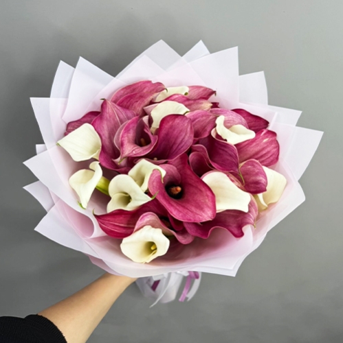 Букет из 25 нежных калл в Орехово-Зуево