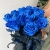 15 синих LUX роз Эквадор (70 см) в Орехово-Зуево
