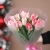 Букет "Фламинго" из 11 пионовидных тюльпанов в Орехово-Зуево Букет "Фламинго" из 11 пионовидных тюльпанов в Орехово-Зуево