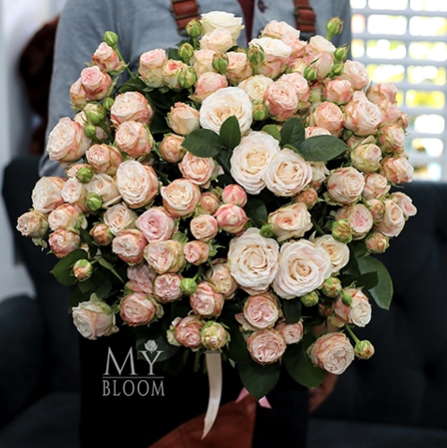 Букет 51 пионовидная роза Бомбастик (60 см) в Орехово-Зуево