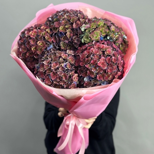 Букет из 5 космических Голландских гортензий в Орехово-Зуево