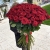 Букет из 101 красной розы (90 см) в Орехово-Зуево